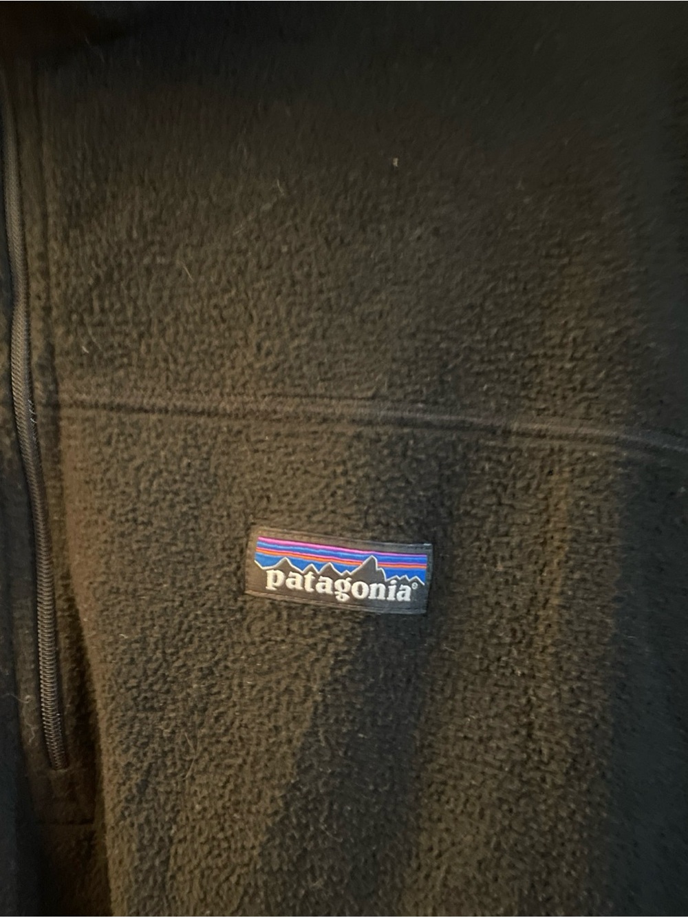 Patagonia Black Lightweight Fleece Jacket with Multicolor Logo